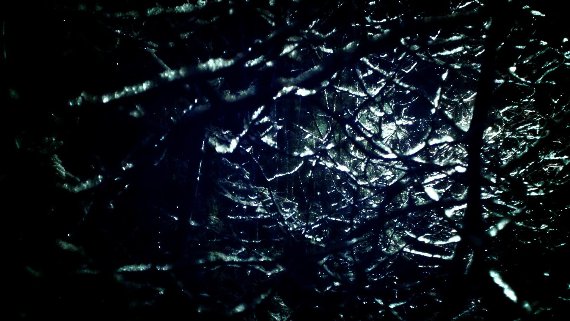 _运动员表达:赛后感谢粉丝和团队的支持_,比赛完感谢感言