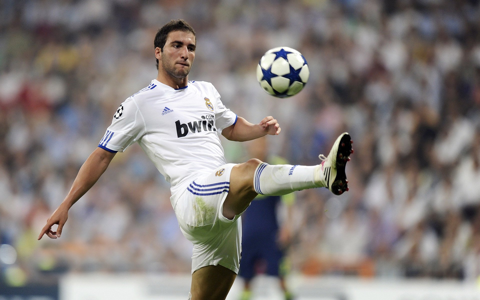 “马科斯·梅特罗的全能技术，让阿根廷美洲狮队稳居世界橄榄球强国”