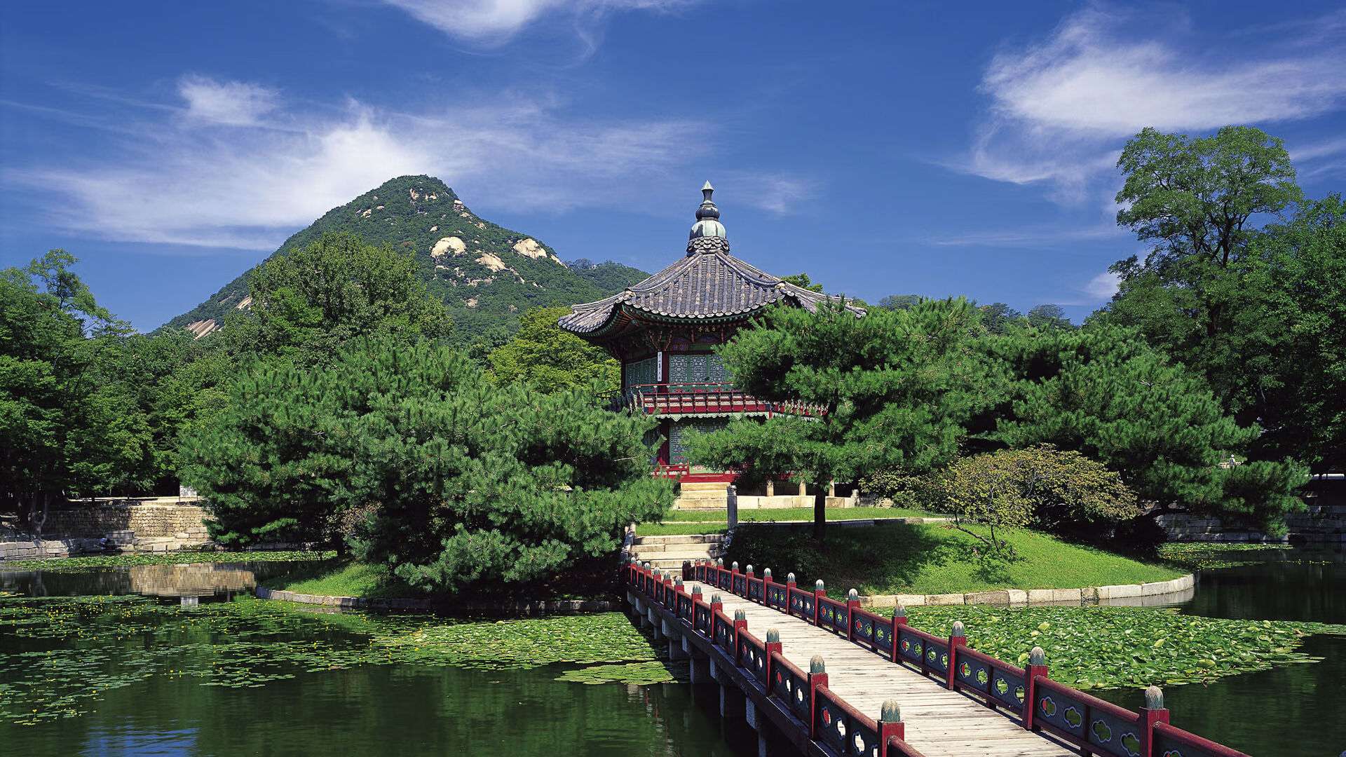 九游APP官网-_运动员签约新品牌，合作创新引争议_，运动员签约俱乐部