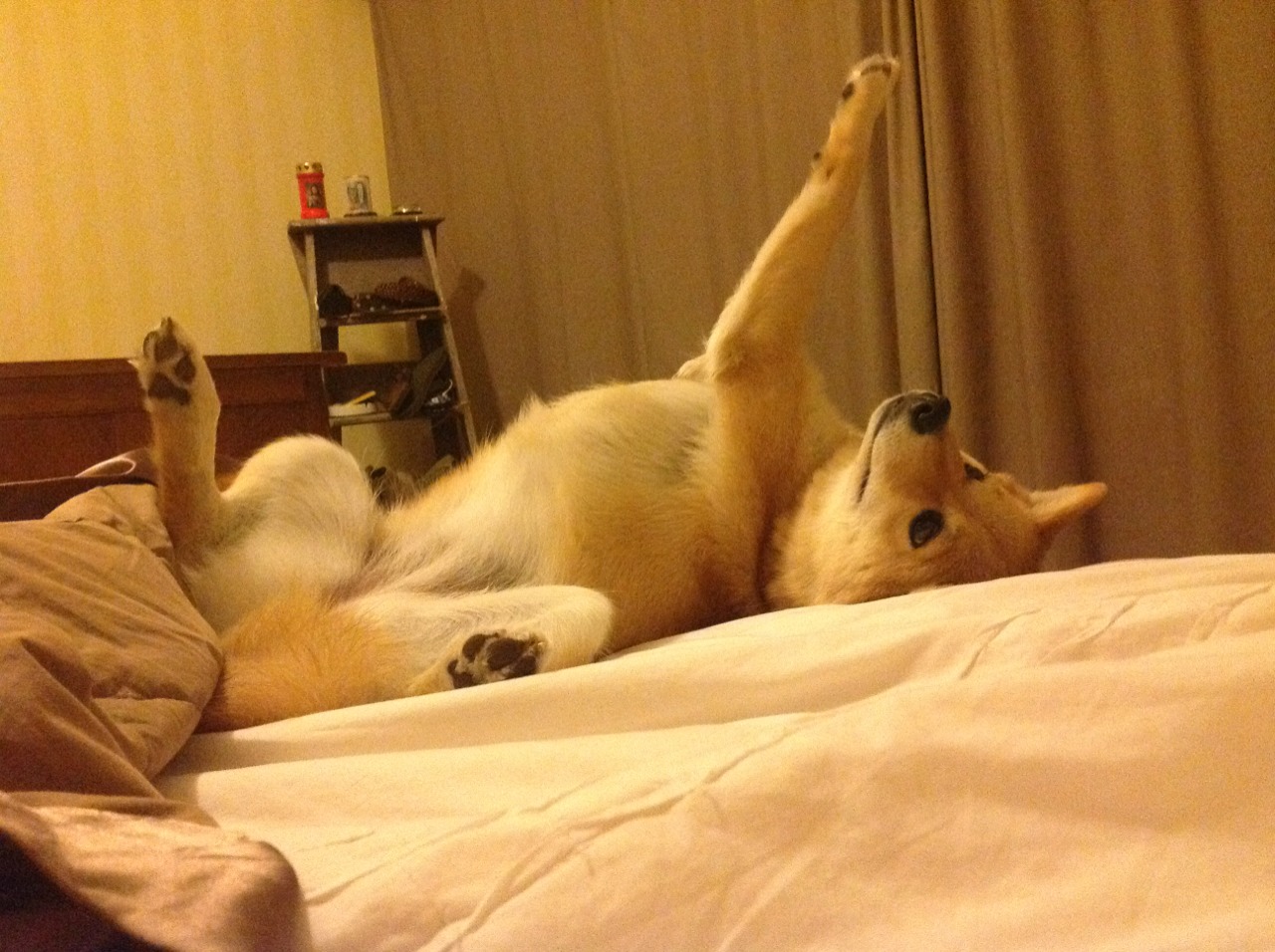 《云比赛兴起：无需硬件即可参加的电竞比赛》，云比赛网公众号