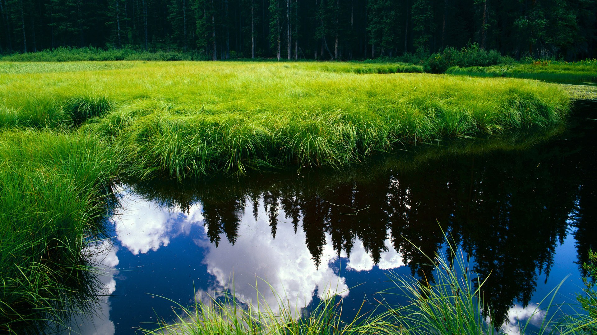 中国女篮海外友谊赛精彩纷呈,展现中国运动魅力,中国女篮在美国wnba