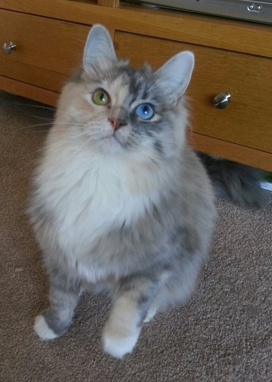 中超官方公布赛季最佳球员获奖名单,中超官方公布赛季最佳球员获奖名单