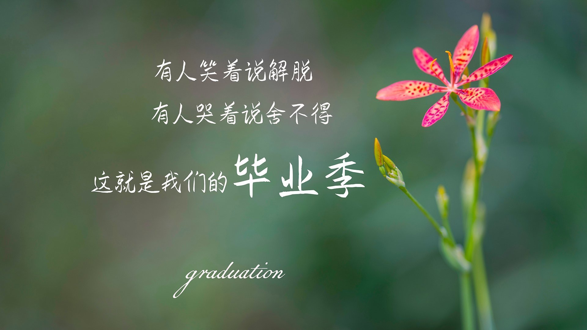 九游登录中心-传统民族投壶技艺，文化盛宴里的运动盛事，投壶的玩法和规则