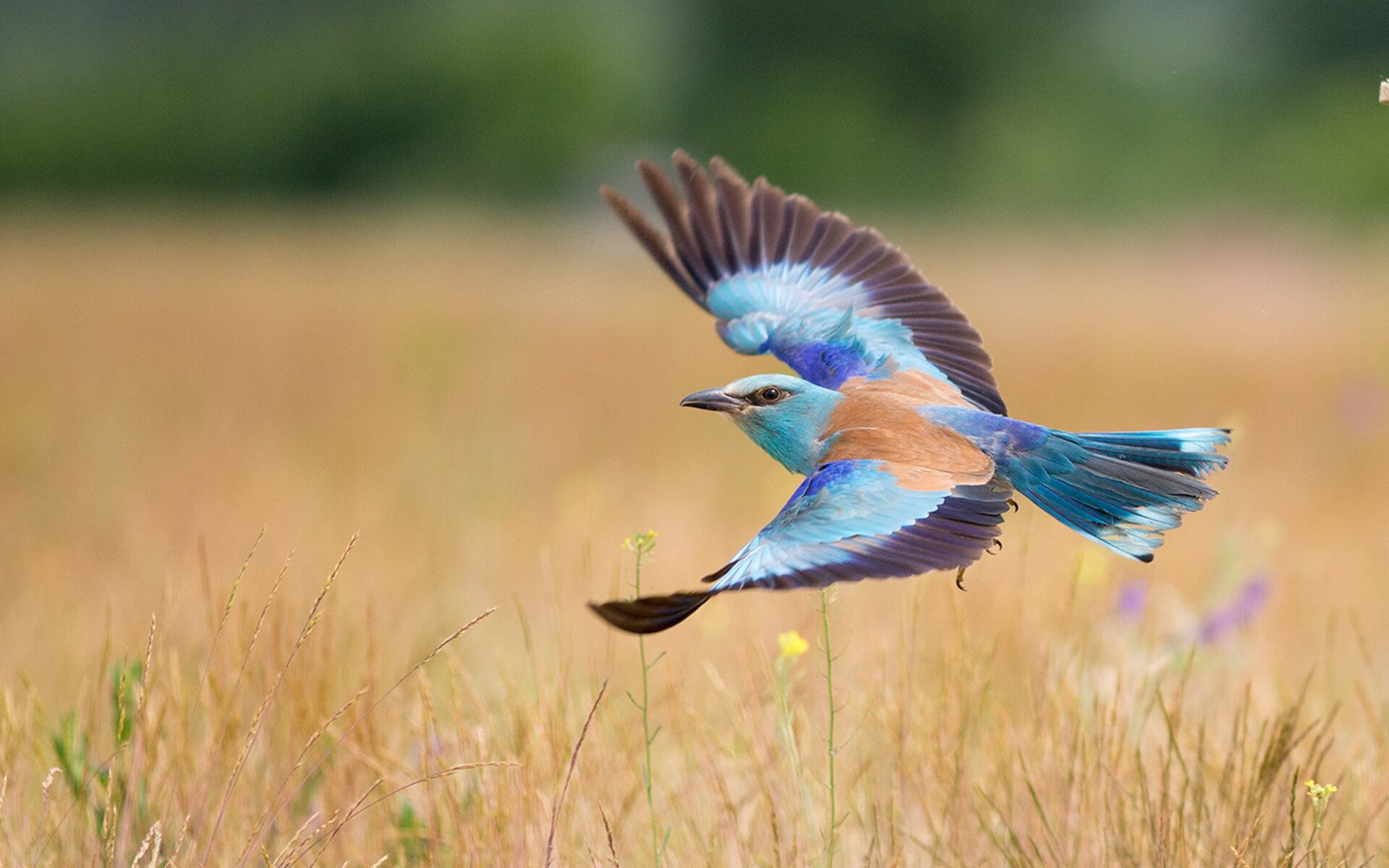 各地青少年足球“转训”项目实现从“线下”到“线上”的转型升级